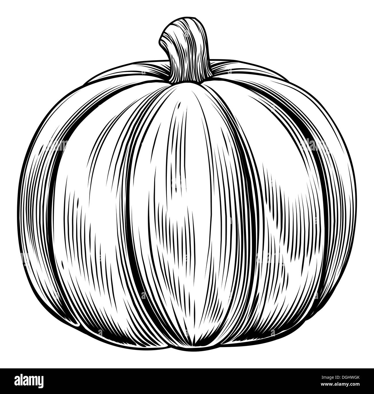 A vintage retro woodcut print or etching style pumpkin illustration Stock Photo