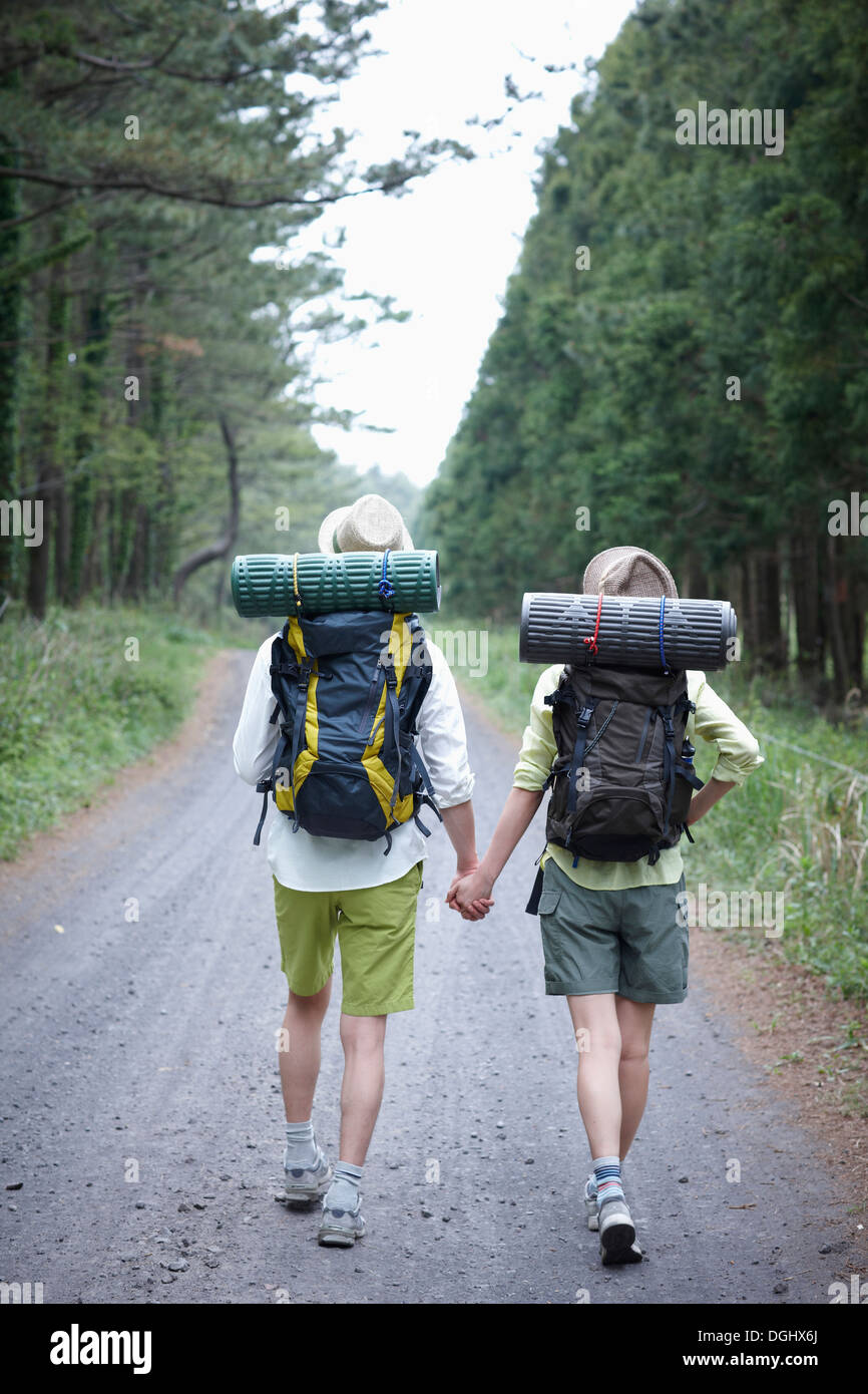 Couple holding hand rear view in love hi-res stock photography and ...