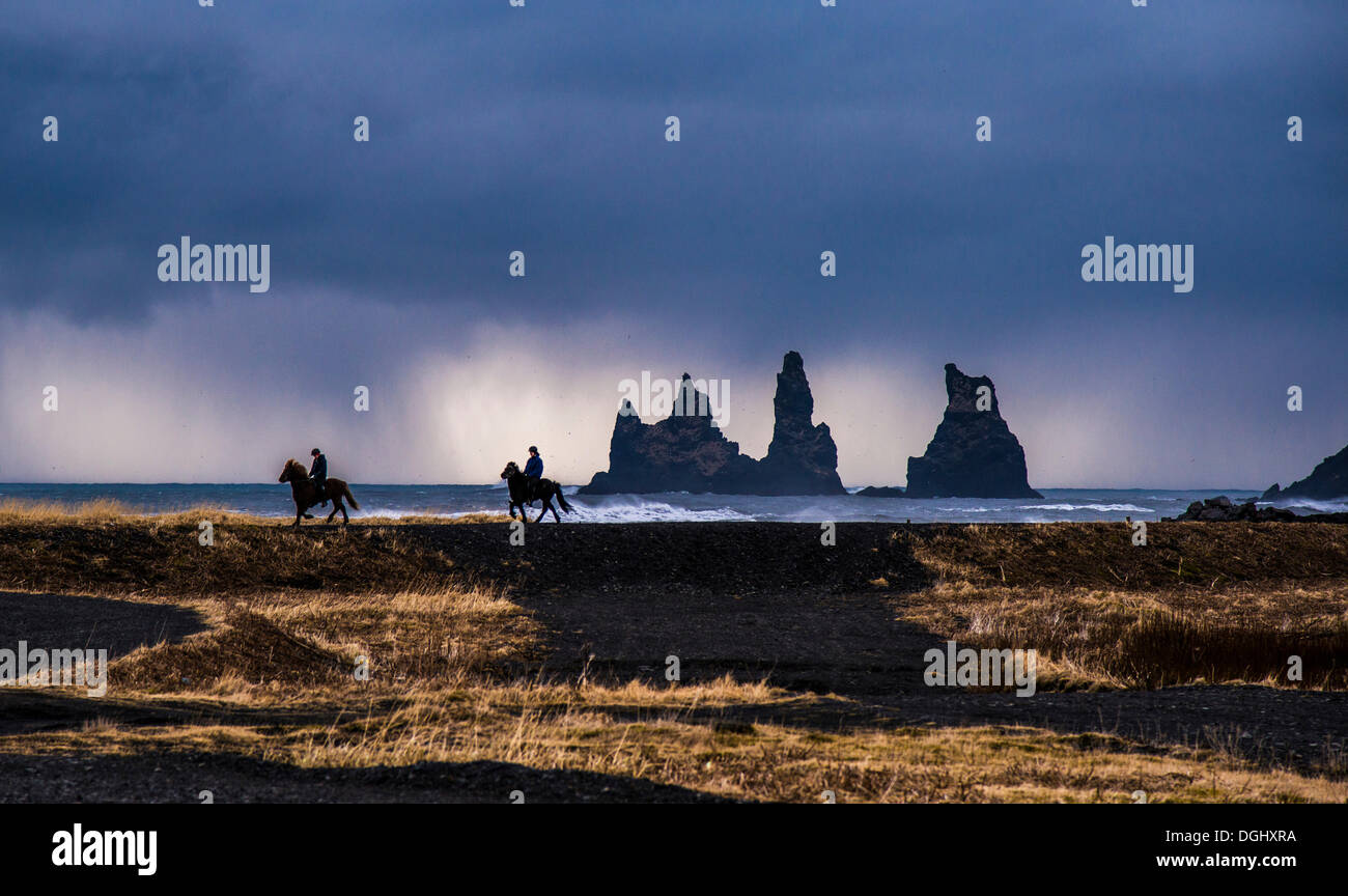 Two horserider riding Icelandic horses on the coast, Reynisdrangar, black basalt sea stacks, Reynisdrangar, Vík í Mýrdal Stock Photo