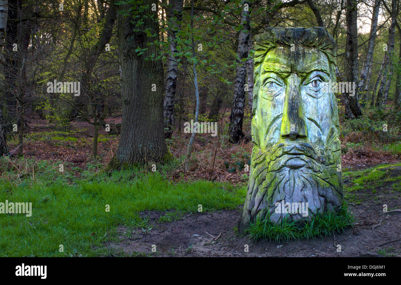 A green man carved from a tree trunk. Stock Photo