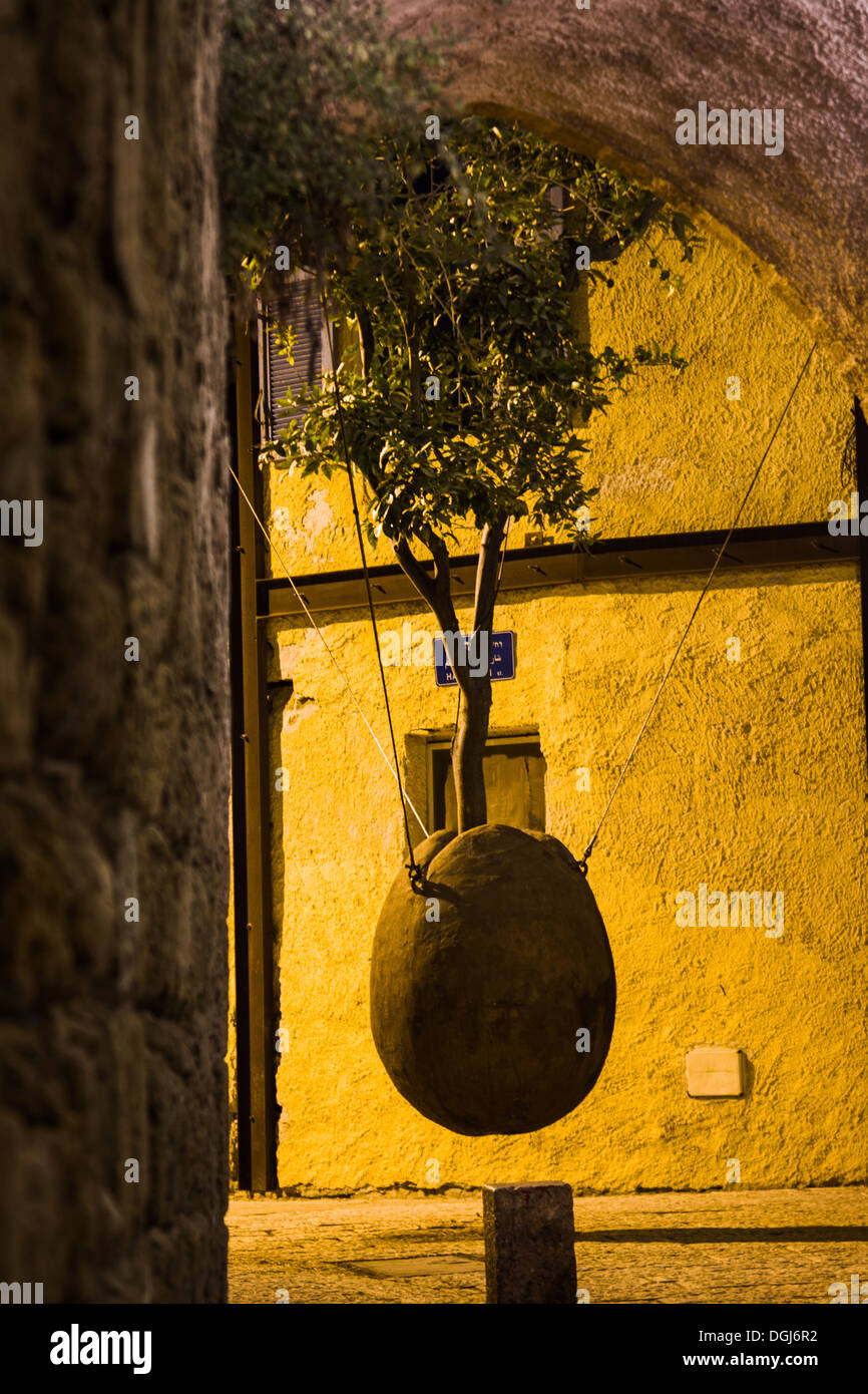 Old Jaffa the hanging tree Stock Photo Alamy