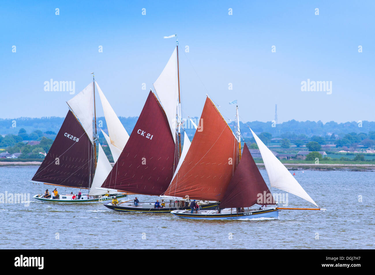 Three gaff rigged Smacks racing on the river Blackwater. Stock Photo
