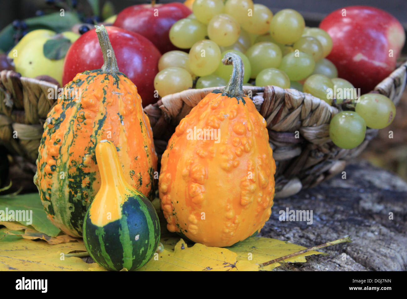 Autumnal harvest fruits with yellow leaves on old wood Stock Photo