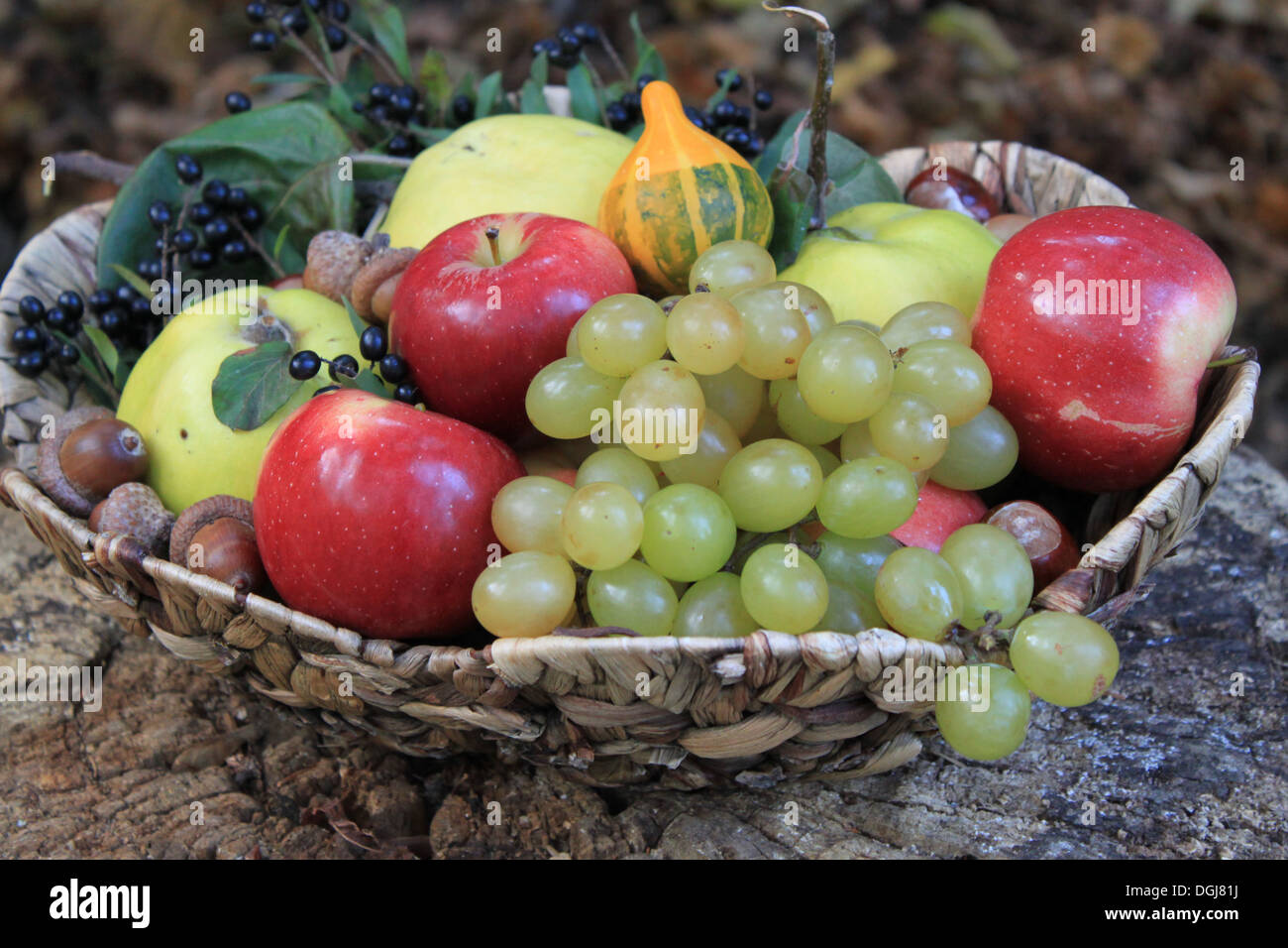 Autumn still life with various fruits and chestnuts Stock Photo - Alamy