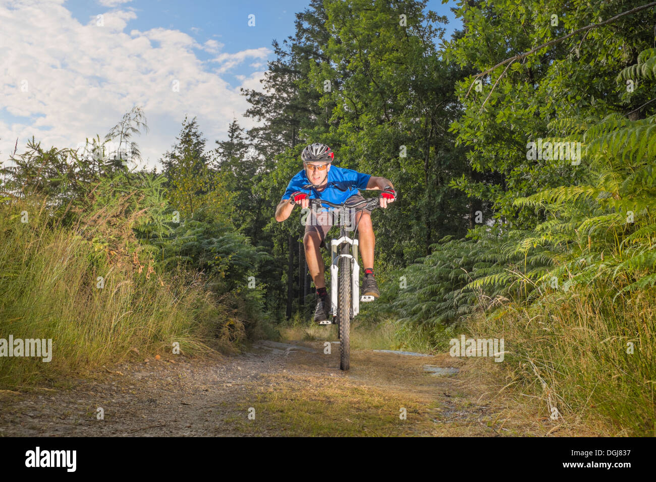 A male mountain biker riding through the Welsh countryside. Stock Photo