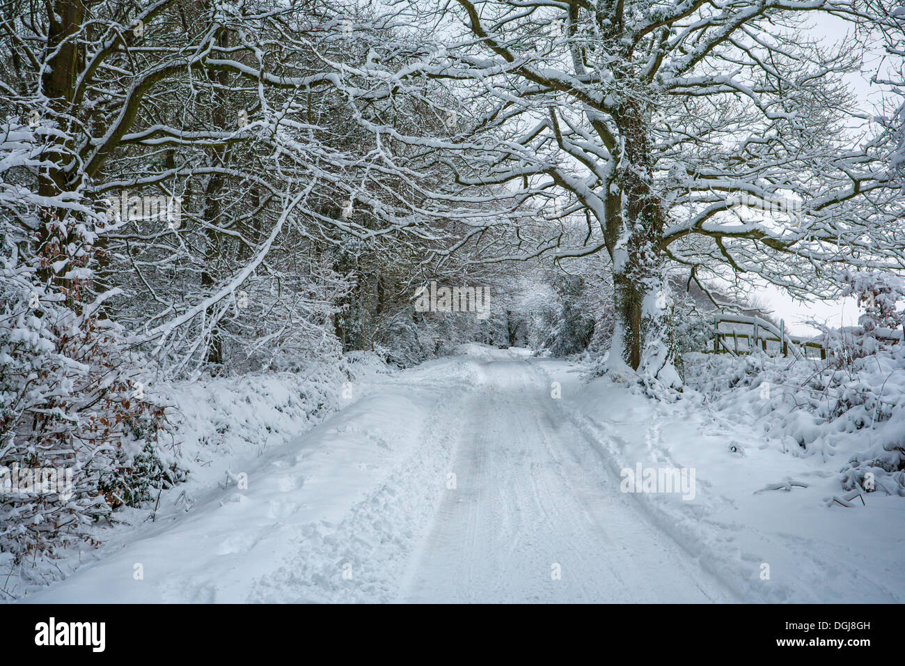 Snow covered rural road. Stock Photo