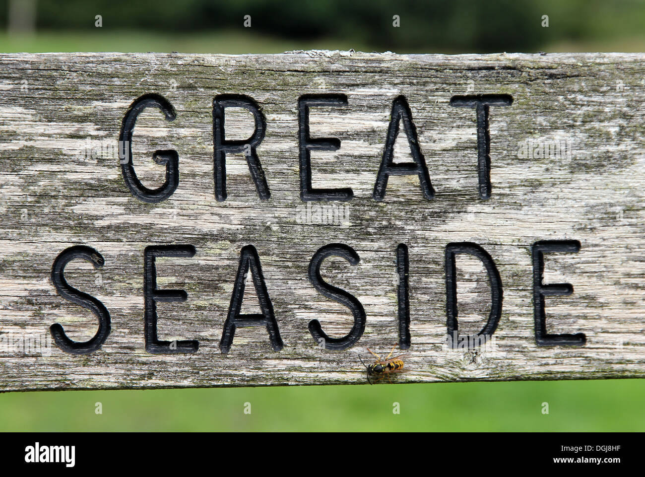 footpath sign to area known as Great Seaside in Branscombe Devon south east England UK Stock Photo