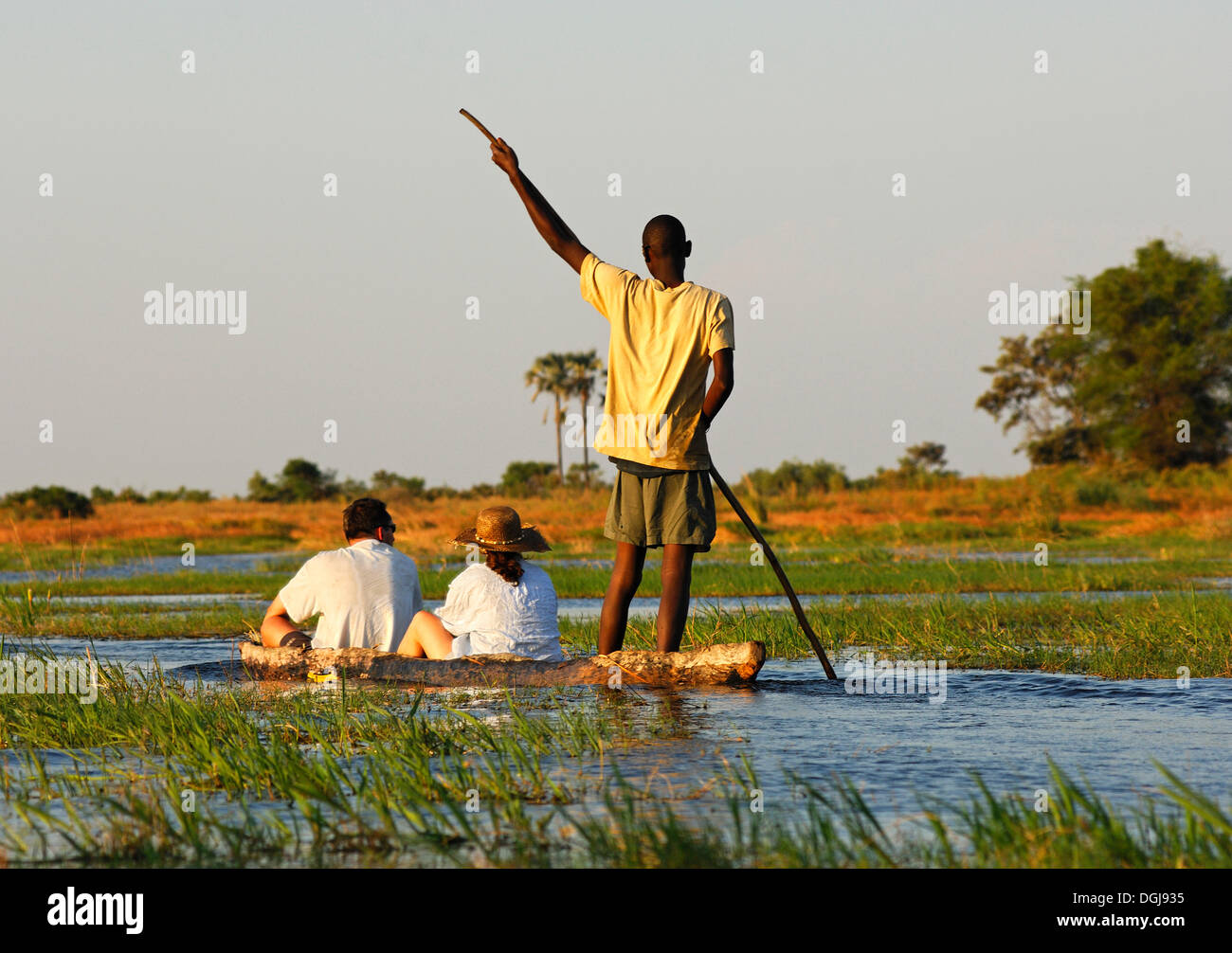 Punter with tourists in the traditional Mokoro dugout canoes on excursion in the Okavango Delta, Botswana, Africa Stock Photo