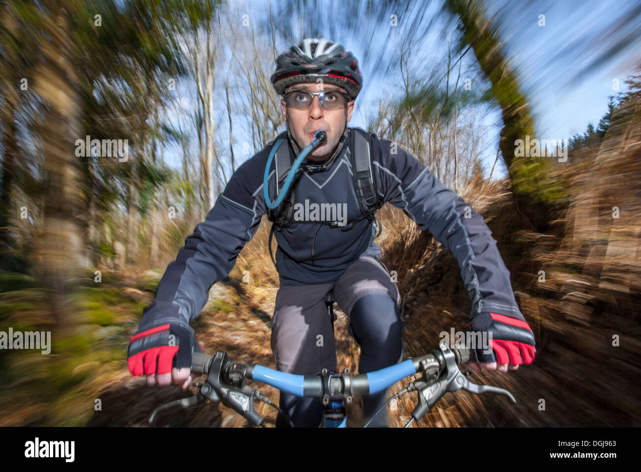 Male mountain biker. Stock Photo