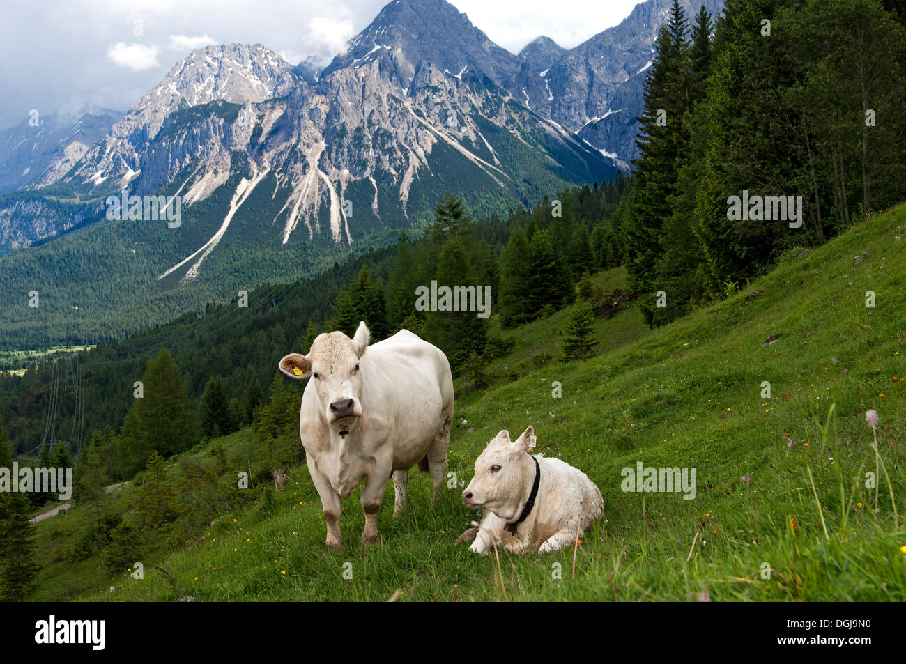 Mountain gaze hi-res stock photography and images - Alamy