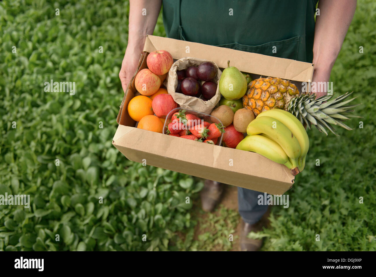 organic fruit box delivery