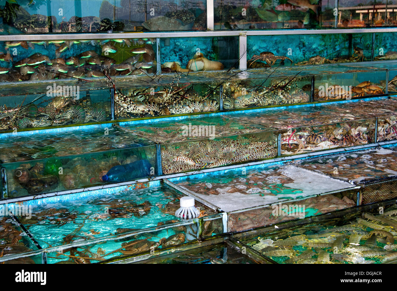 Glass tanks in a restaurant with fish and seafood, Sai Kung, New Territories, Hong Kong, Hong Kong, China Stock Photo