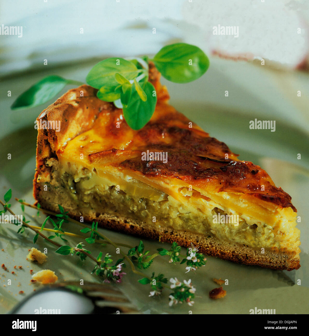 Onion quiche with cheese topping. Stock Photo