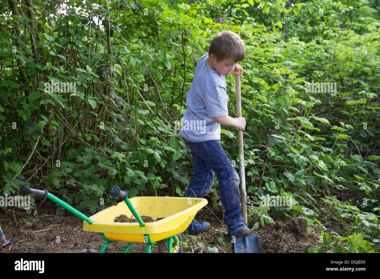 Boy digging in garden with toy spade and wheelbarrow Stock Photo