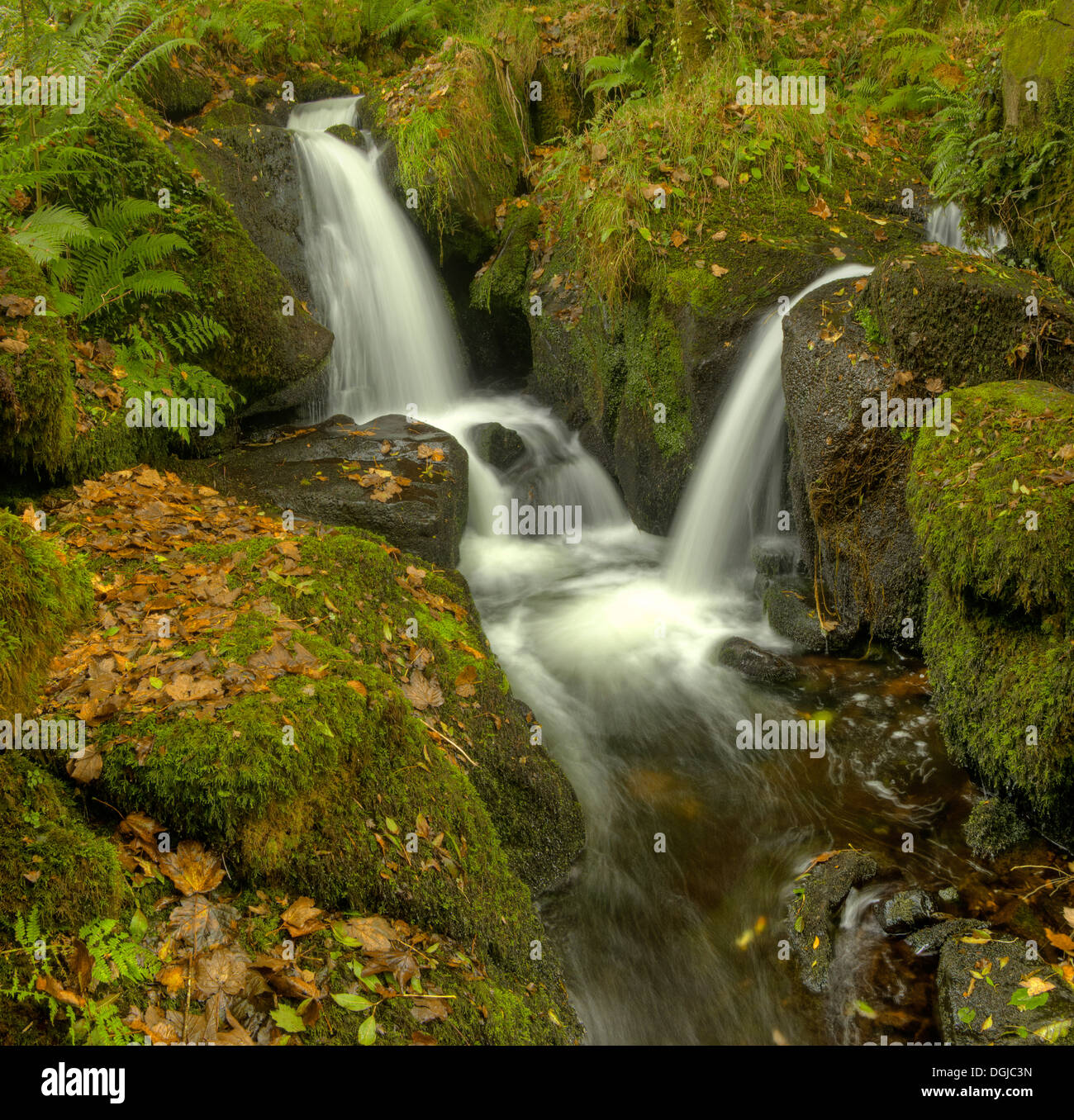 Upper Colly Brook, on an autumn afternoon. In Dartmoor National Park Stock Photo