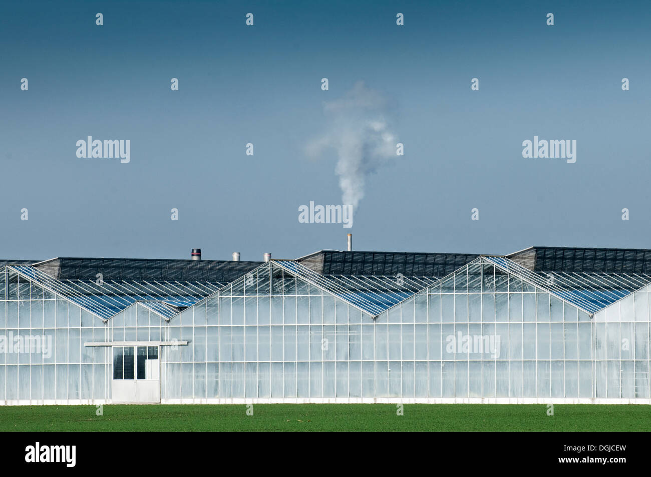 Smoke from large industrial greenhouse Stock Photo