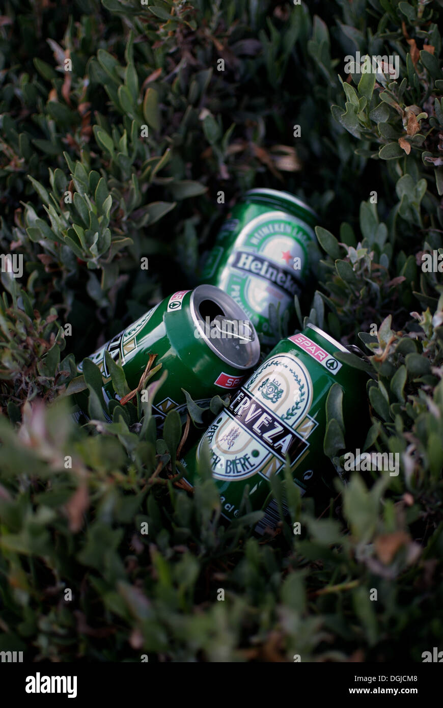 Used beer cans left in nature Stock Photo