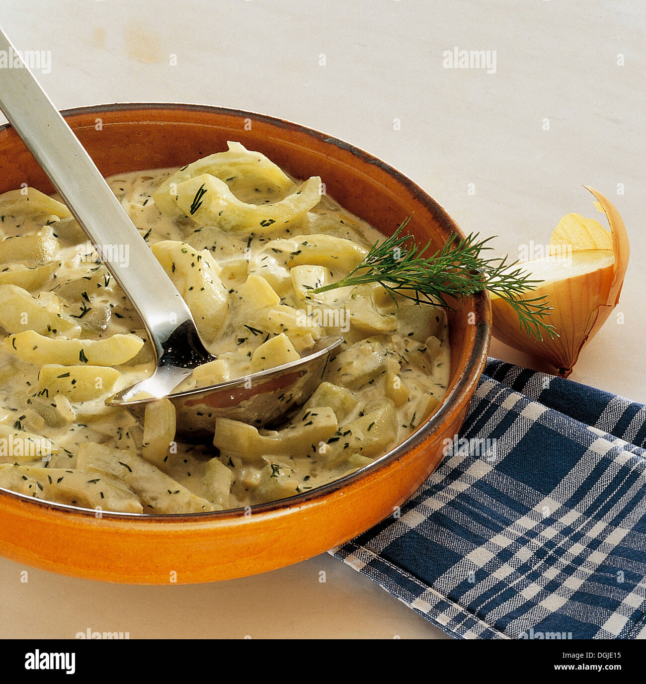 Sweet and sour braised cucumber, dill, cream and vegetables, Germany. Stock Photo