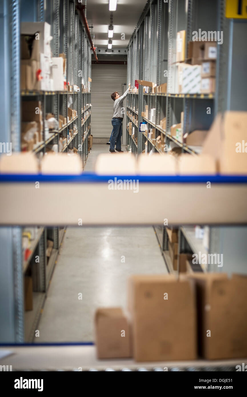 Female warehouse worker collecting orders from shelves Stock Photo