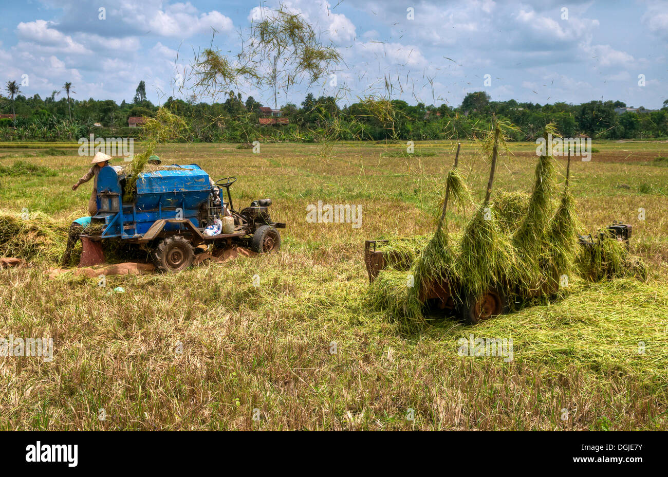 Rice straw threshing machine at work, Vietnam, Asia Stock Photo Alamy