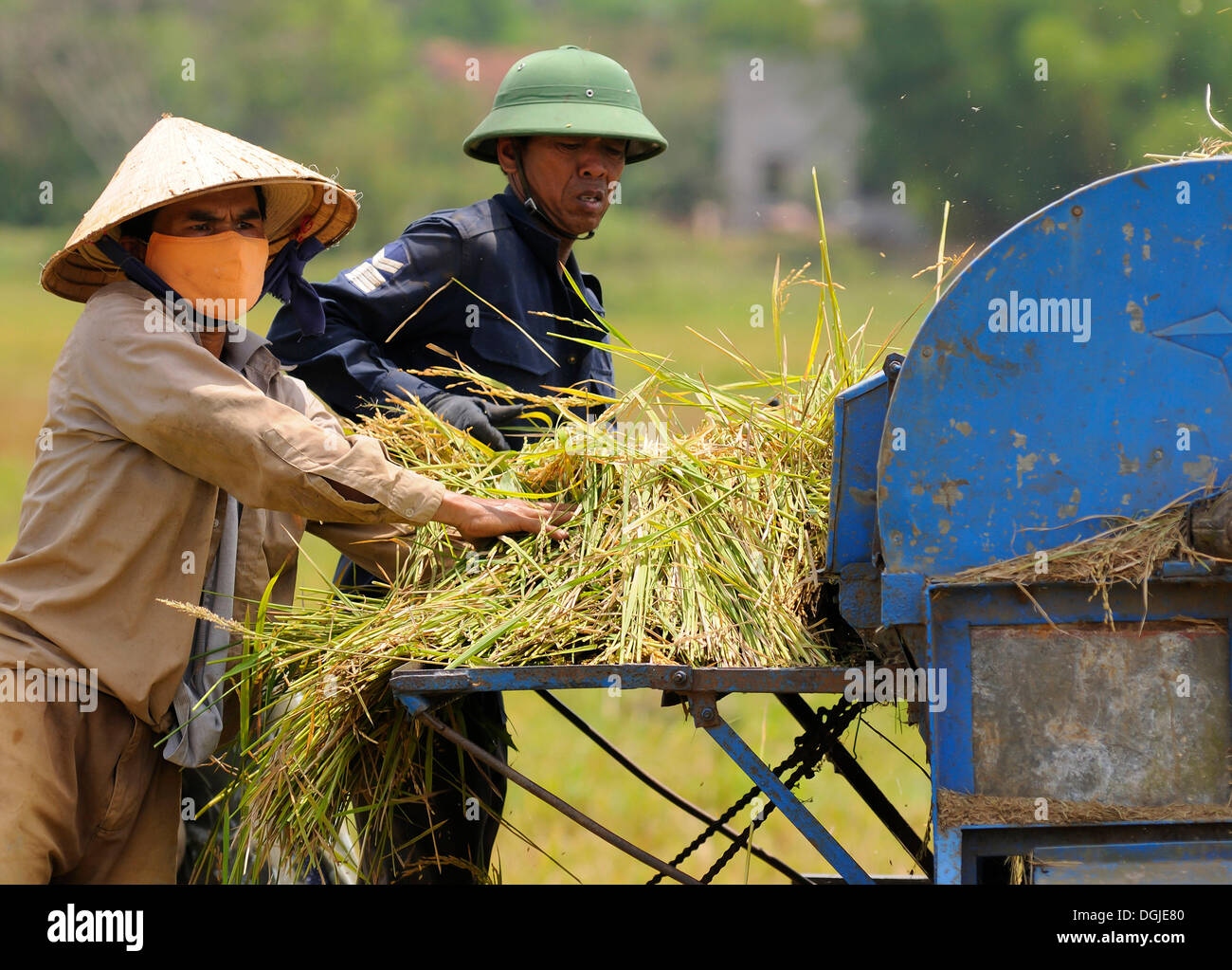 Men with a rice straw threshing machine, Vietnam, Asia Stock Photo