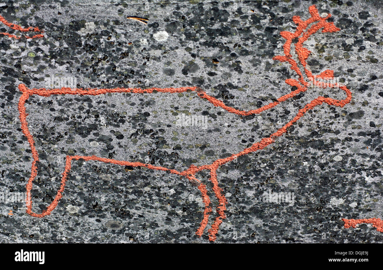 Rock carvings at Alta, Finnmark, Norway, Scandinavia, Europe Stock