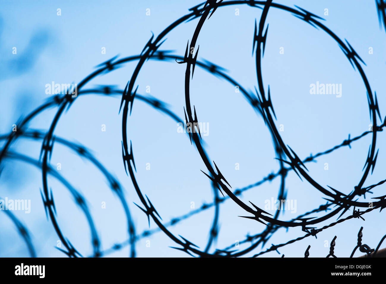 Barbed Wire Circle Stock Photos & Barbed Wire Circle Stock Images ...