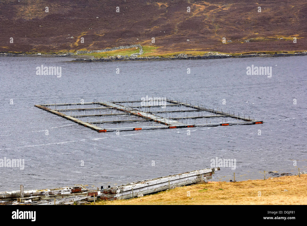 Salmon farm in a voe. Stock Photo