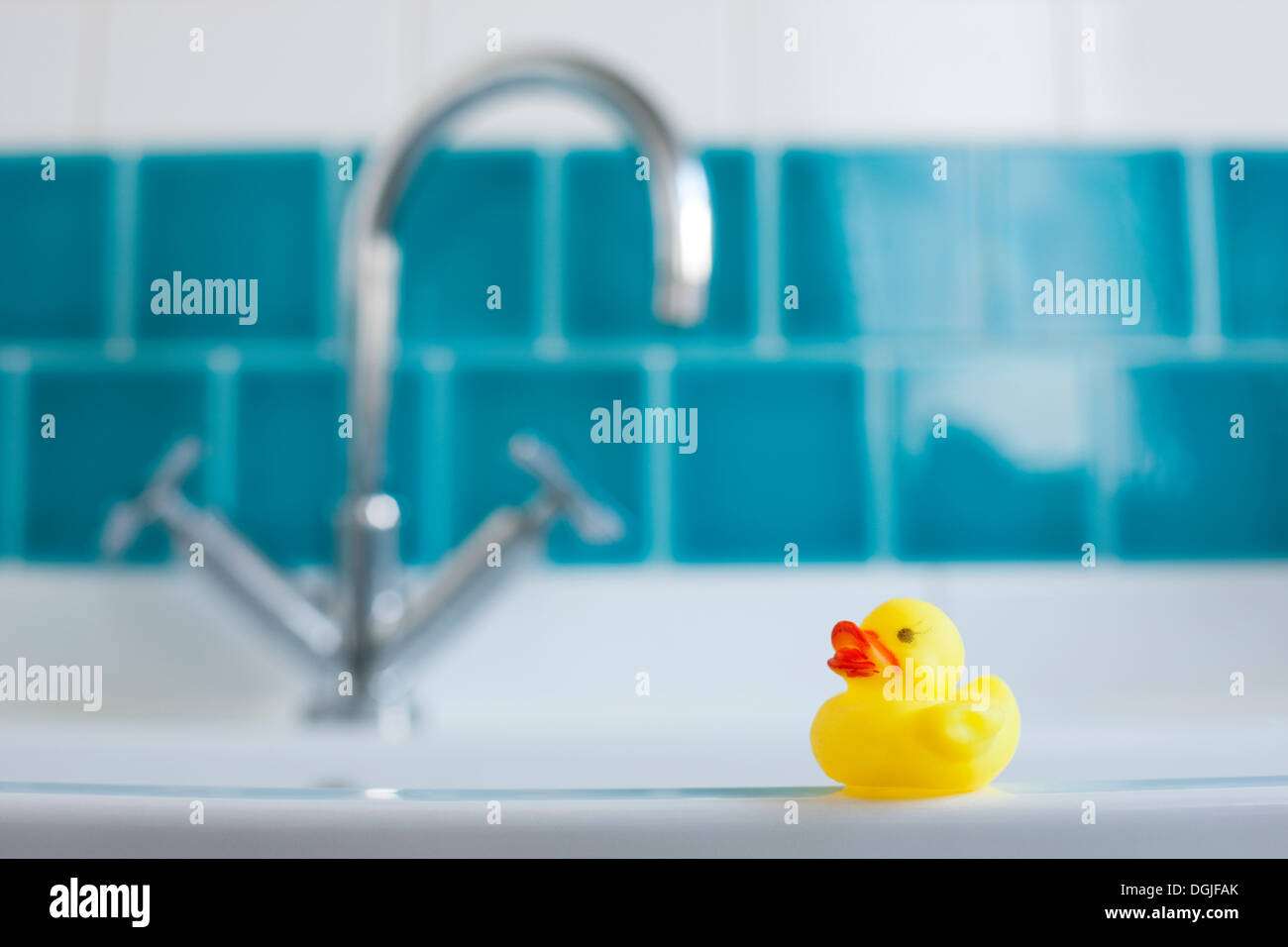 One yellow rubber duck for bathtime Stock Photo - Alamy