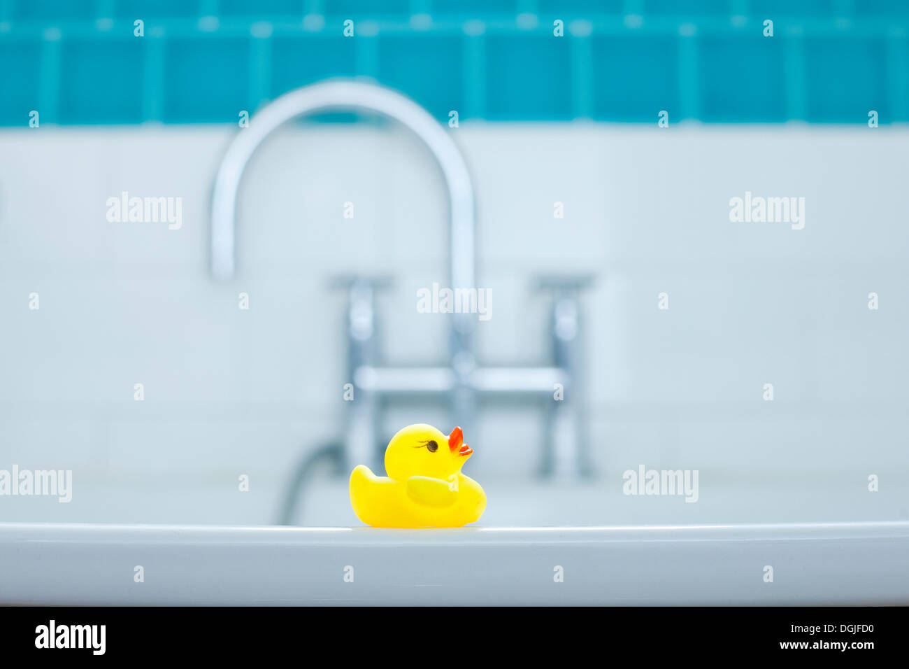 One yellow rubber duck for bathtime Stock Photo - Alamy
