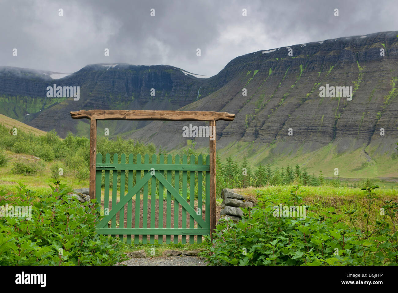 Gate, Botanic Garden of Skrúður, Nupur, Westfjords or West Fjords, Iceland, Europe Stock Photo