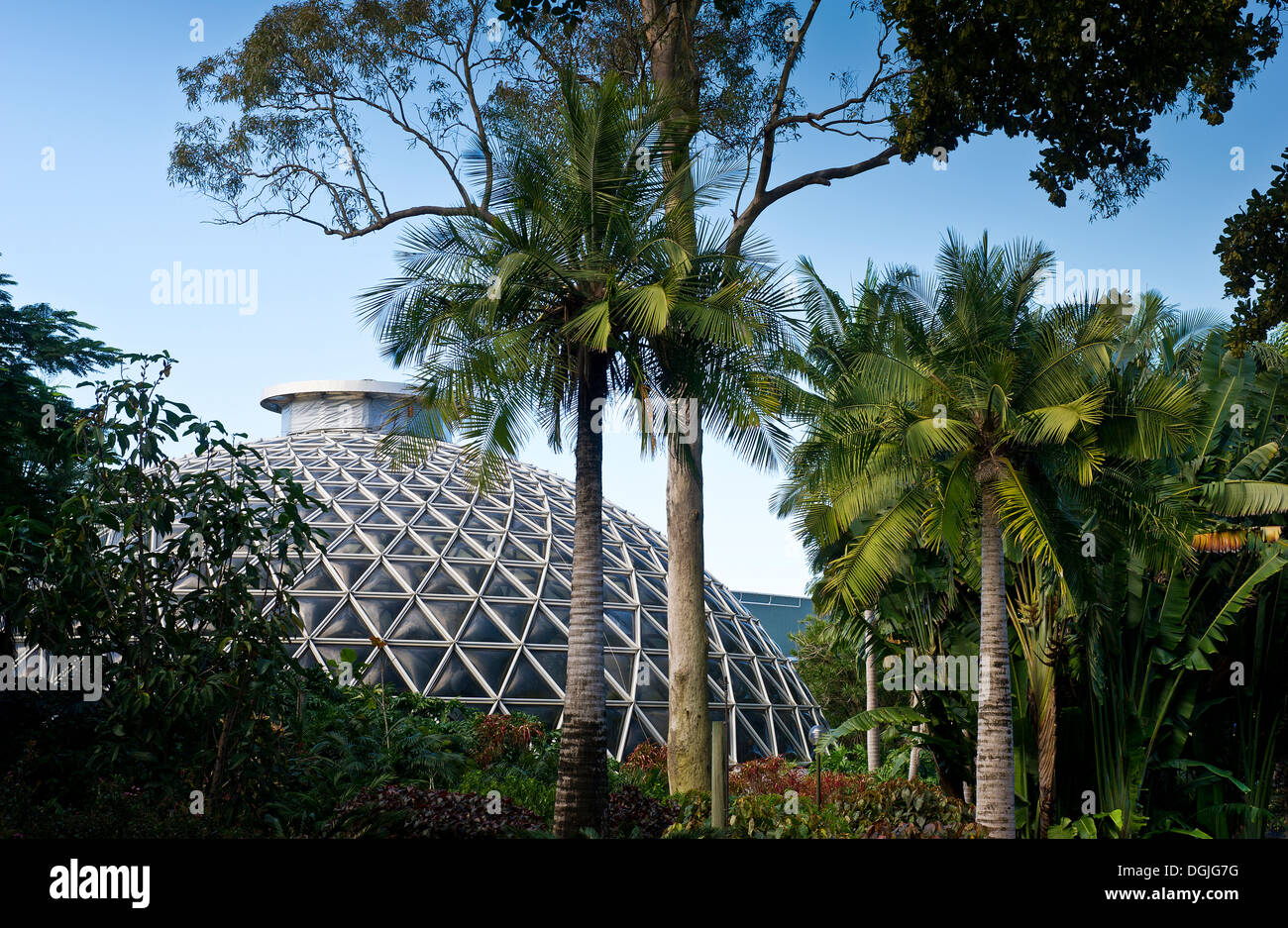 The Tropical Display Dome at the Brisbane Botanic Gardens in Queensland. Stock Photo