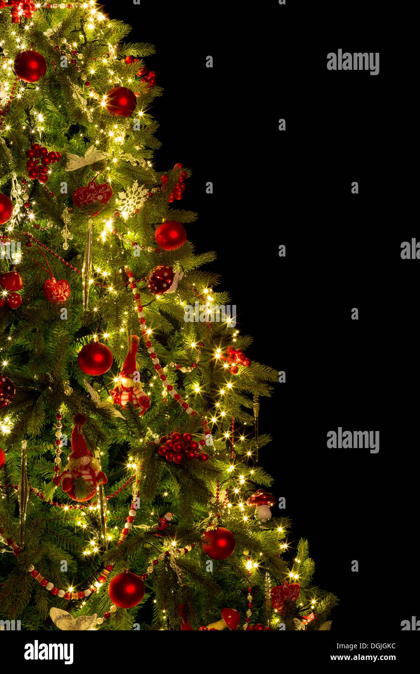 Tree cut out hires stock photography and images Alamy