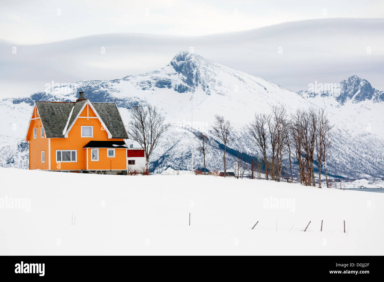 Orange house in a northern winter landscape, Vestvagoy, Lofoten ...