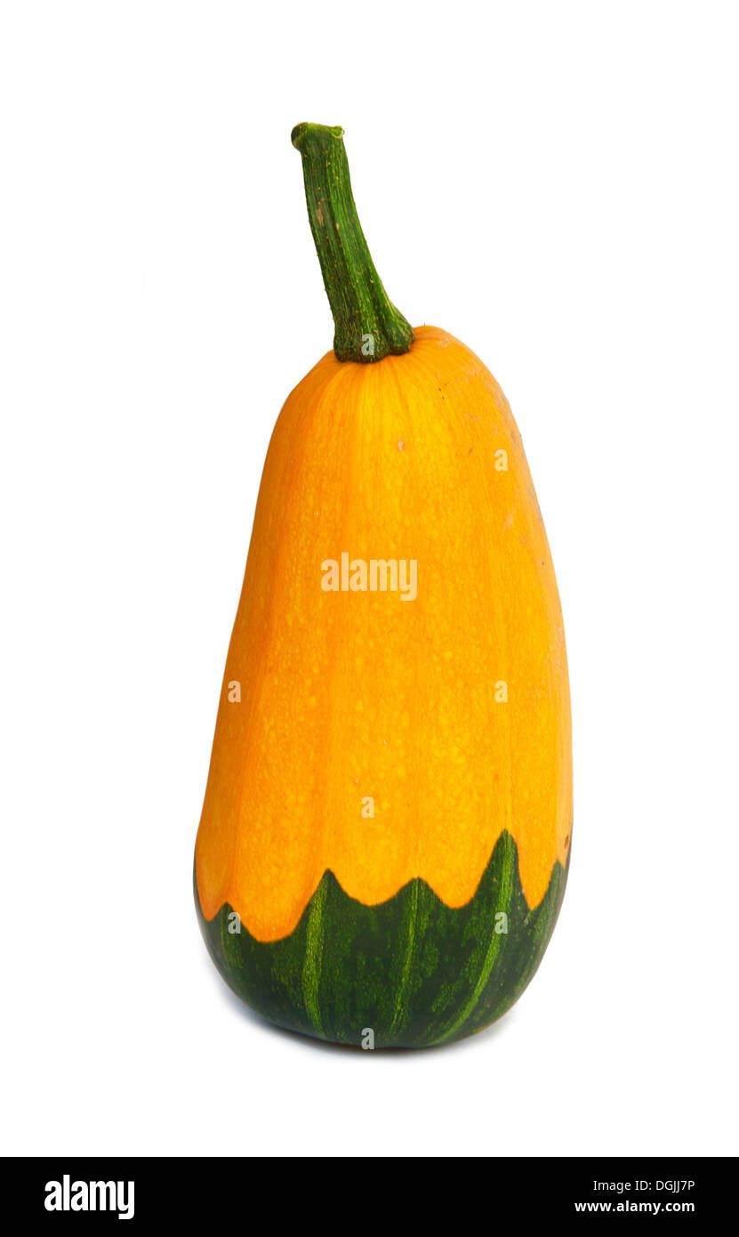 orange pumpkin isolated on white background Stock Photo - Alamy
