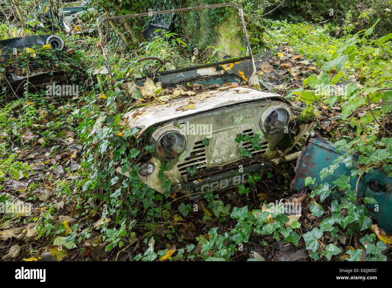 Old mini moke abandoned and overgrown with weeds.Polluted countryside. Stock Photo