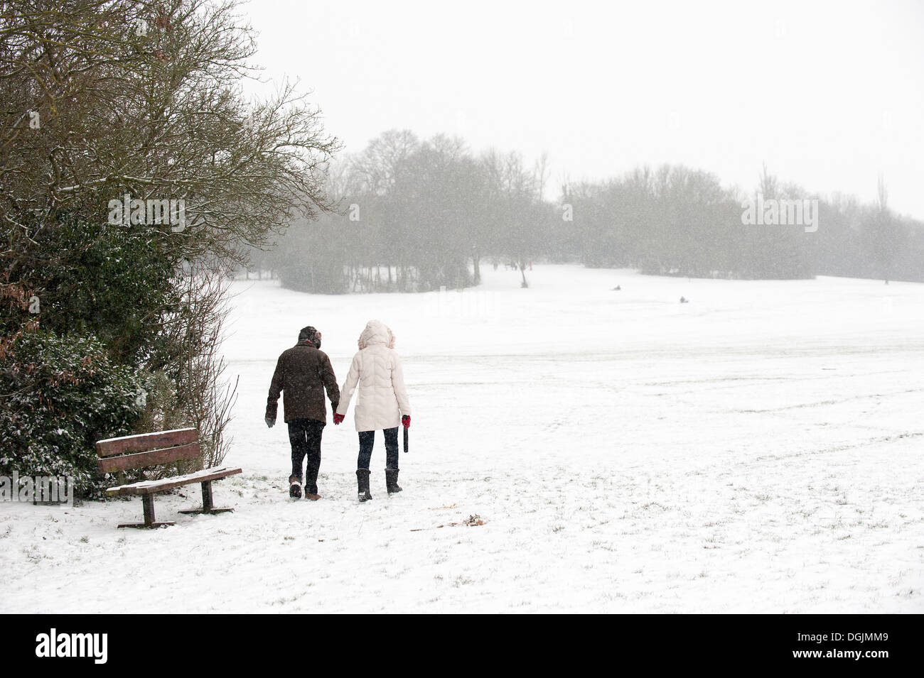 A couple enjoy the heavy snowfall as they walk hand in hand though the Essex countryside. Stock Photo