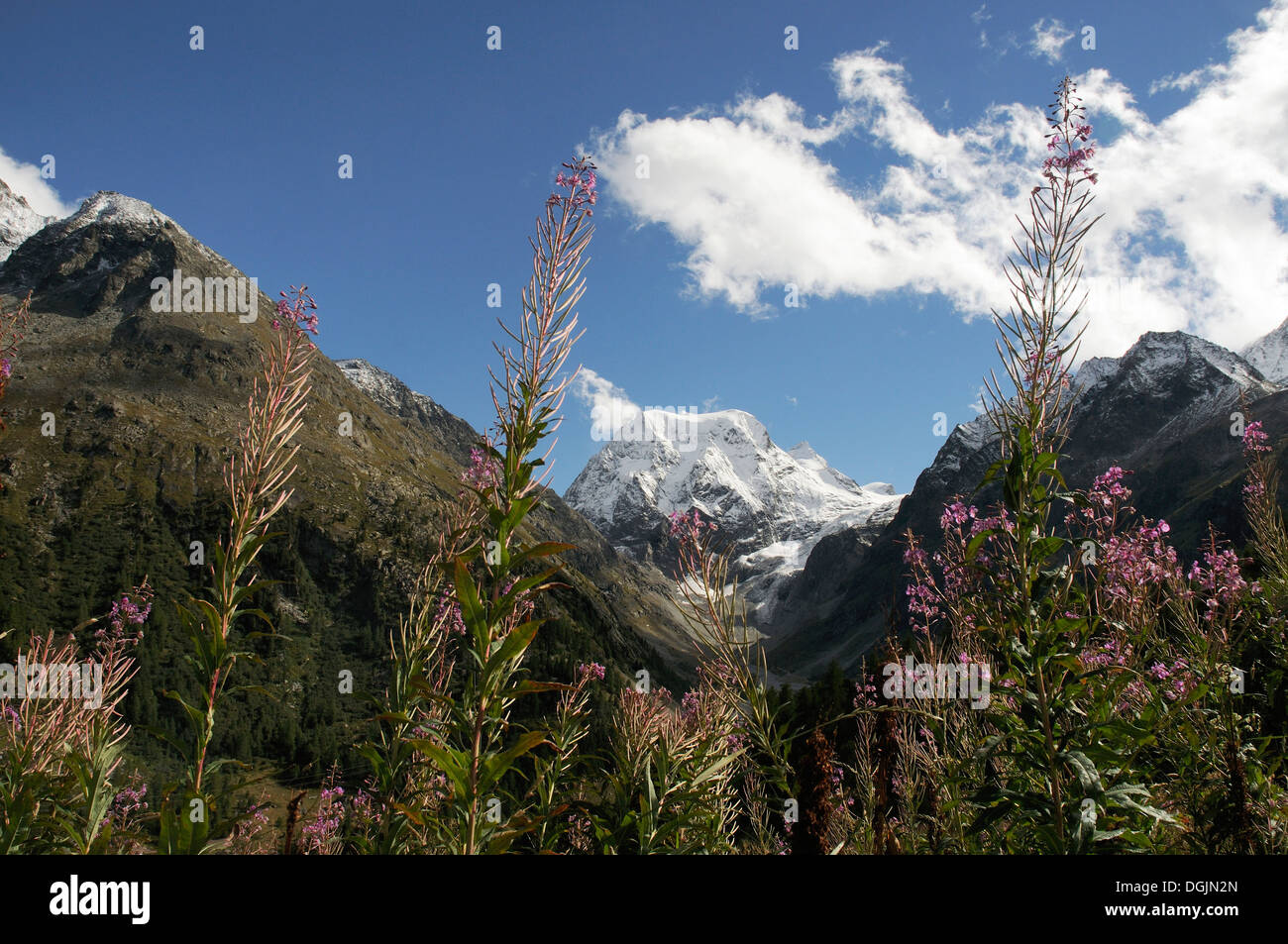 Mont Collon near Arolla in the Swiss Alps Stock Photo