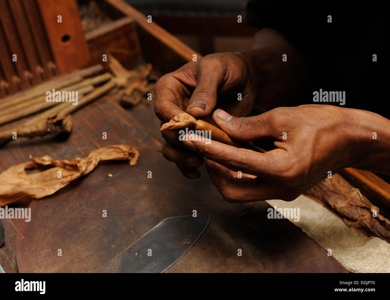 Man attaching the wrapper on a cigar, cigar factory in Punta Cana, Dominican Republic, Caribbean Stock Photo