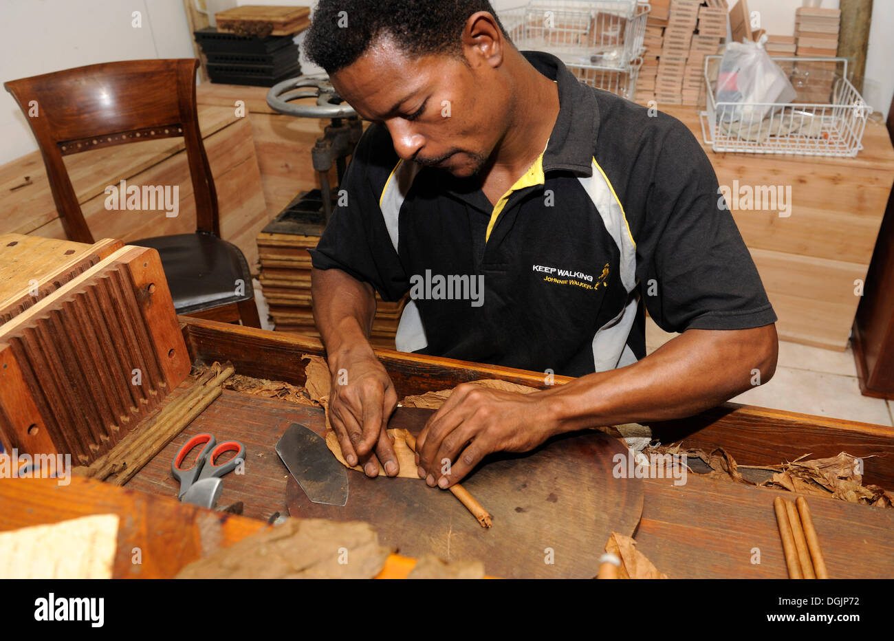 Man rolling a cigar, attaching the wrapper, cigar factory in Punta Cana