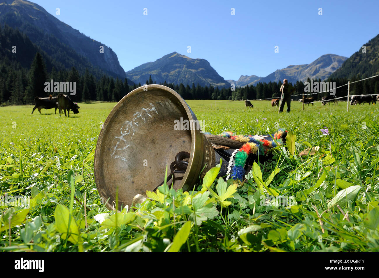 Cow bell lying in a meadow, for decoration of the cows for the cattle drive, Tannheim, Tannheimer Tal valley, Tyrol, Austria Stock Photo