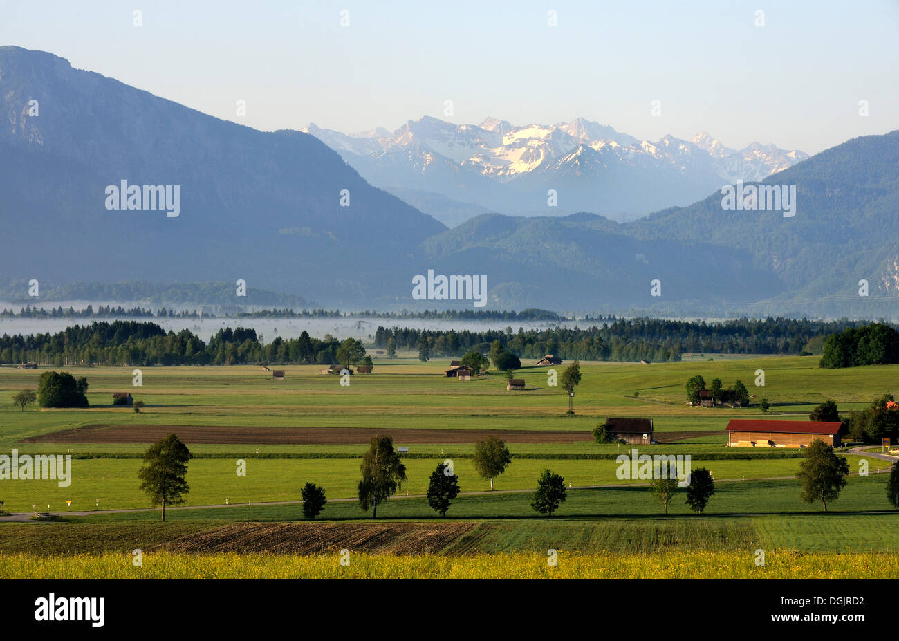 Cultivated landscape near Sindelsdorf, Wetterstein mountain range, Blaues Land region, Upper Bavaria, Bavaria Stock Photo