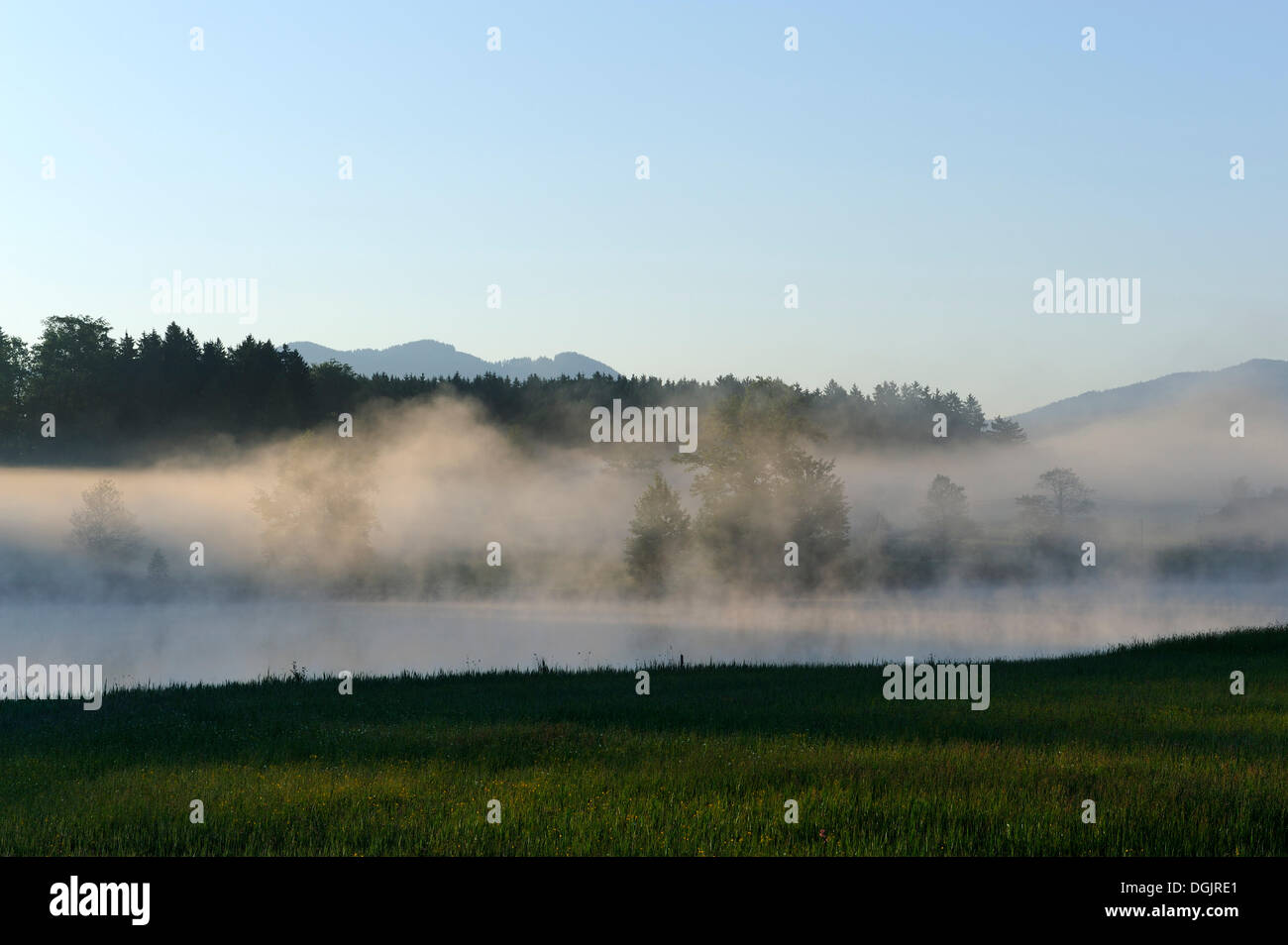 Early morning on Riederer Weiher pond, Penzberg, Upper Bavaria, Bavaria, PublicGround Stock Photo