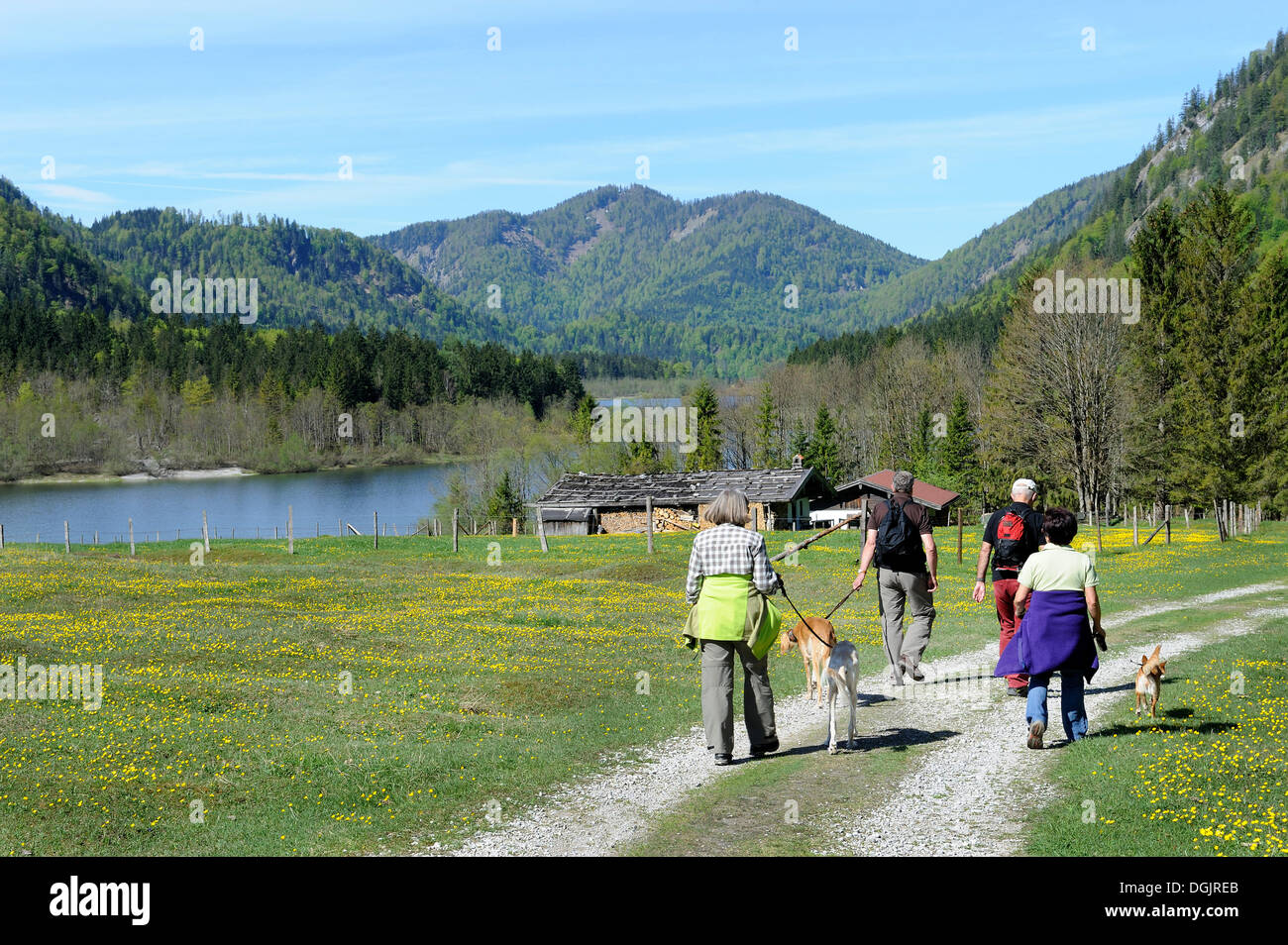 Hikers near Loedensee, Chiemgau, Bavarian Alps, Upper Bavaria, Bavaria Stock Photo