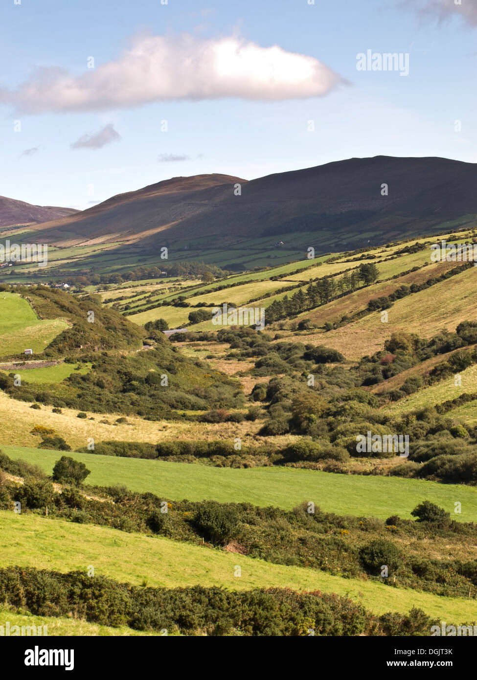 A patchwork of fields in an Irish valley during autumn Stock Photo Alamy