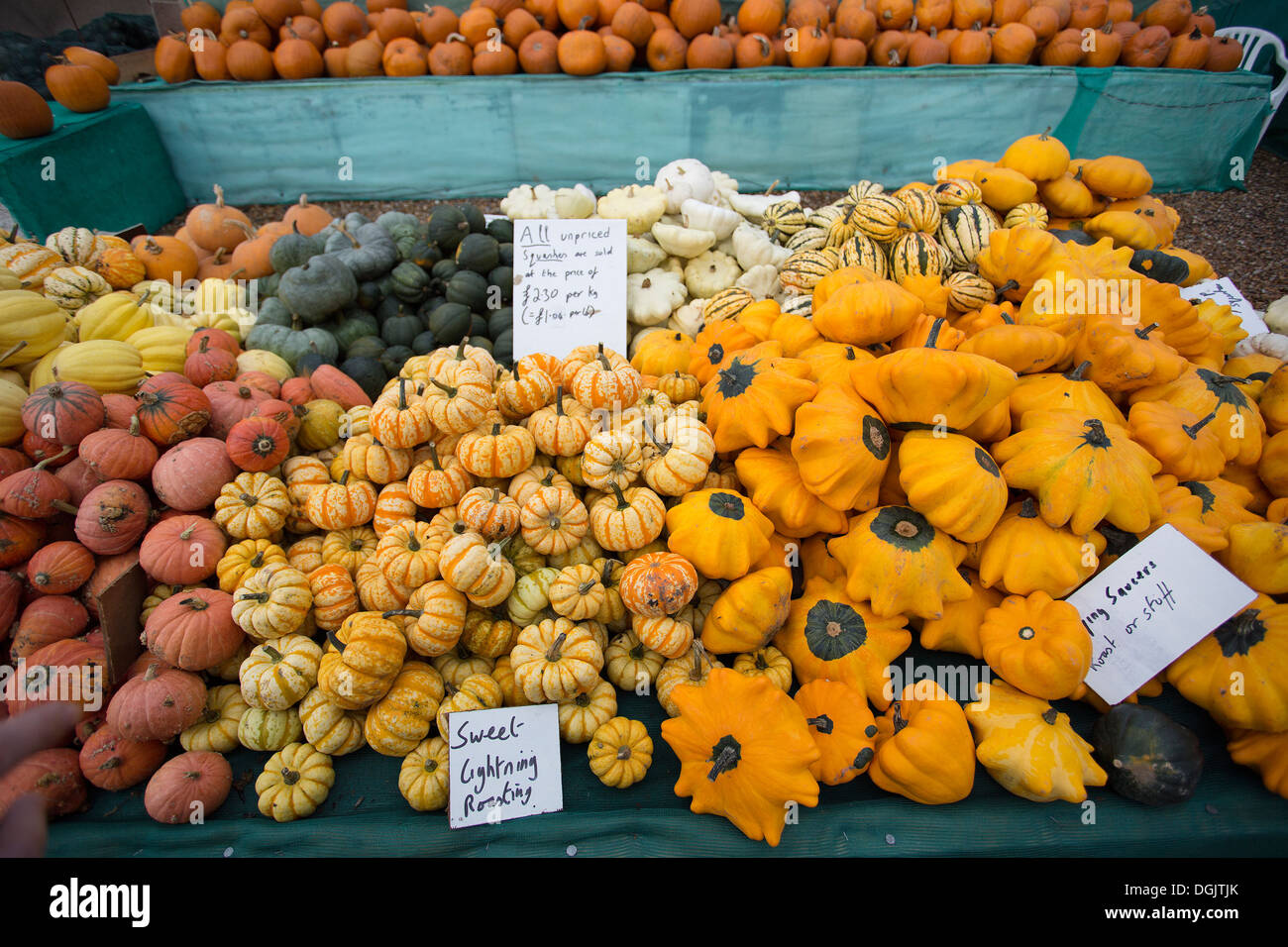 selection of pumpkins at farmers shop Stock Photo