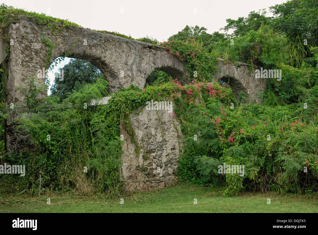 Historic viaduct to supply water for sugar cane plantations, island of St. Croix, U.S. Virgin Islands, USA Stock Photo
