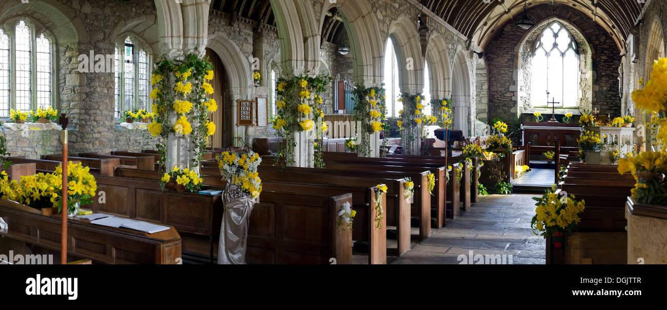 The Daffodil Festival in St Mawgan in Meneage Church in Cornwall Stock