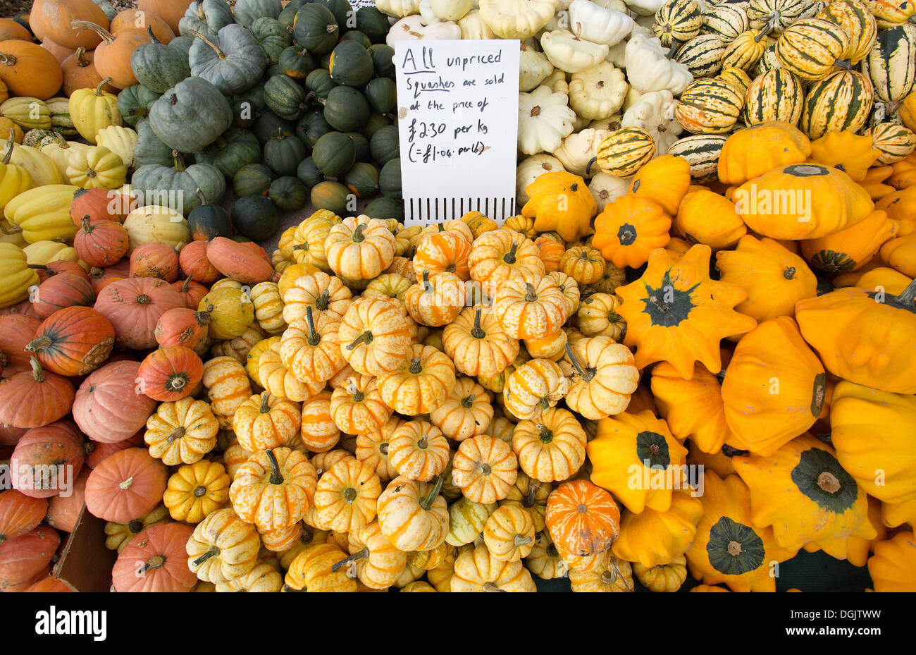 selection of pumpkins Stock Photo