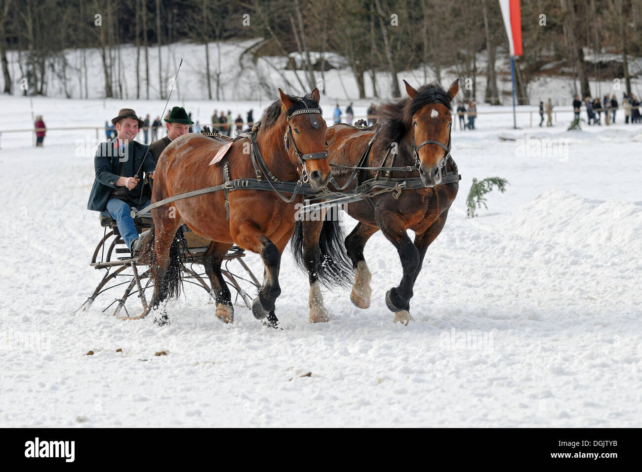 Sleigh race for Oberlaender carriage and pairs in Parsberg, Upper Bavaria, Bavaria Stock Photo